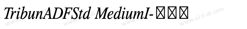 TribunADFStd MediumI字体转换